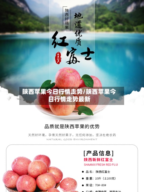 陕西苹果今日行情走势/陕西苹果今日行情走势最新-第2张图片