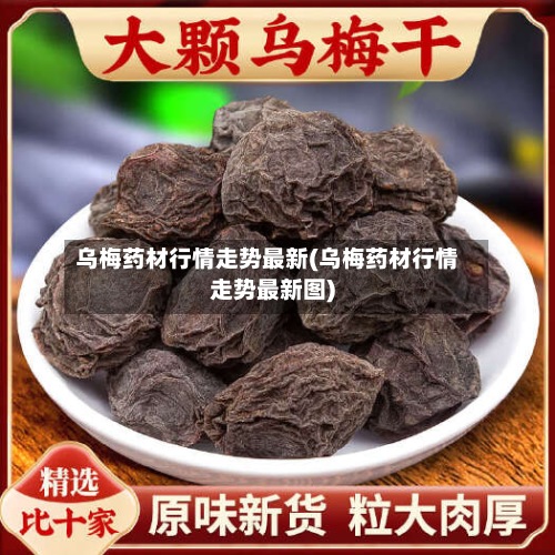 乌梅药材行情走势最新(乌梅药材行情走势最新图)-第3张图片