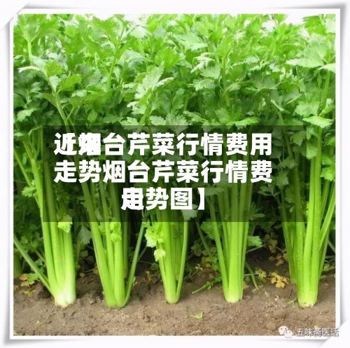 近来
【烟台芹菜行情费用
走势烟台芹菜行情费用
走势图】