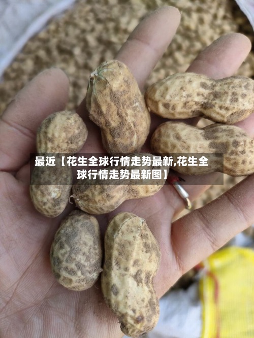 最近【花生全球行情走势最新,花生全球行情走势最新图】-第2张图片