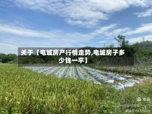 关于【电城房产行情走势,电城房子多少钱一平】