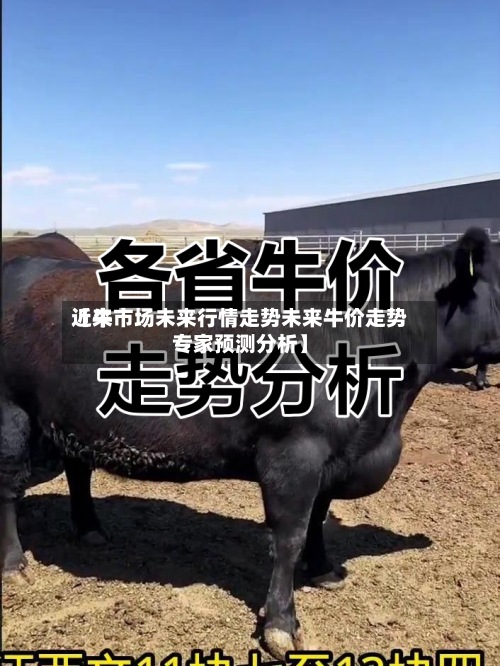 近来【牛市场未来行情走势未来牛价走势专家预测分析】-第3张图片