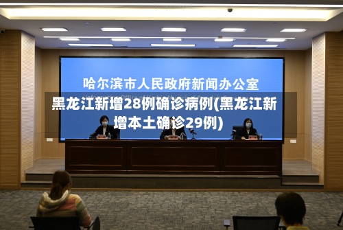 黑龙江新增28例确诊病例(黑龙江新增本土确诊29例)-第2张图片