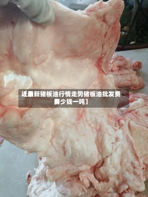近来
【最新猪板油行情走势猪板油批发费用
多少钱一吨】-第3张图片