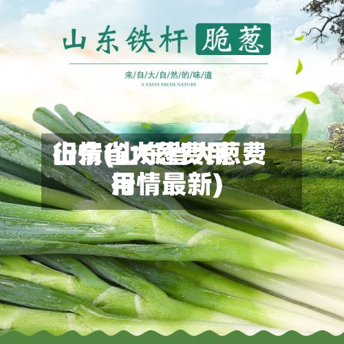 山东省大葱费用
行情(山东省大葱费用
行情最新)-第2张图片