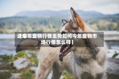 近来
【今年宠物行情走势如何今年宠物市场行情怎么样】-第2张图片