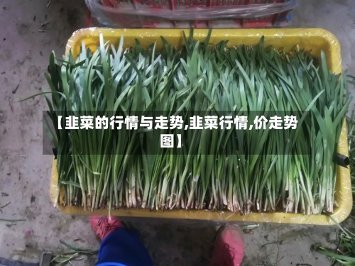 【韭菜的行情与走势,韭菜行情,价走势图】