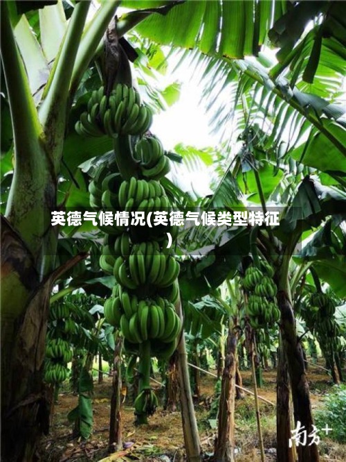 英德气候情况(英德气候类型特征)