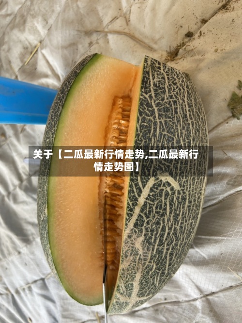 关于【二瓜最新行情走势,二瓜最新行情走势图】-第3张图片