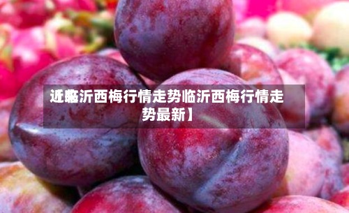 近来
【临沂西梅行情走势临沂西梅行情走势最新】