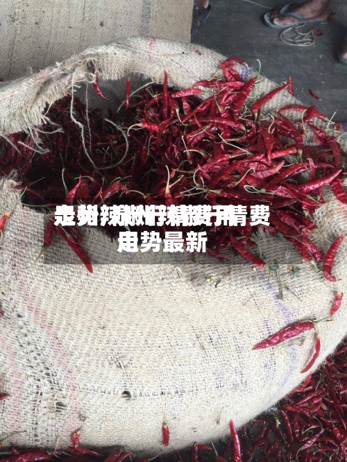 泉州辣椒行情费用
走势/泉州辣椒行情费用
走势最新