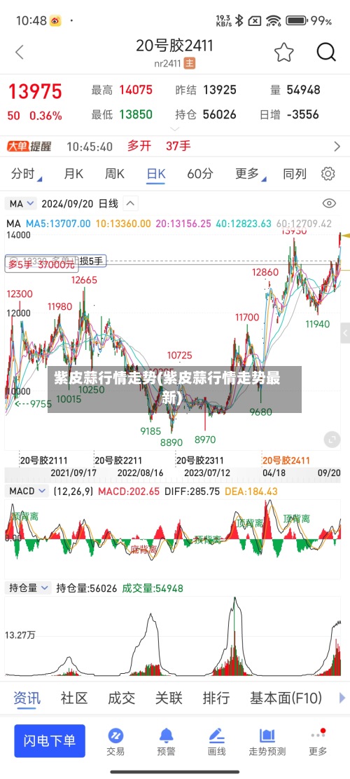 紫皮蒜行情走势(紫皮蒜行情走势最新)