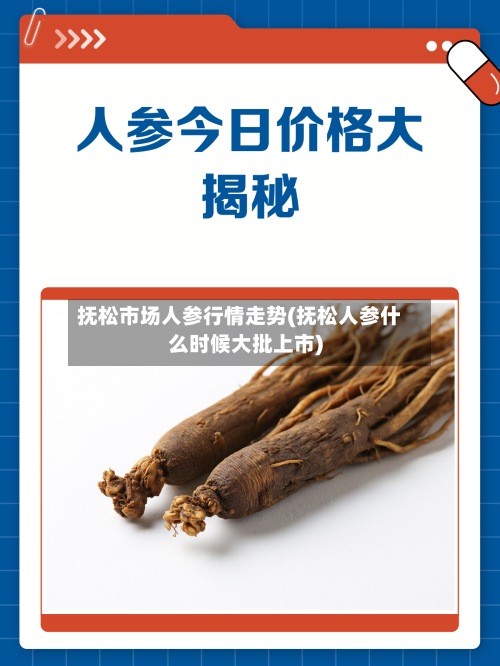 抚松市场人参行情走势(抚松人参什么时候大批上市)-第3张图片