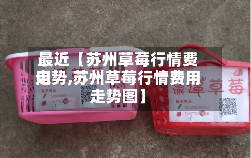 最近【苏州草莓行情费用
走势,苏州草莓行情费用
走势图】-第2张图片