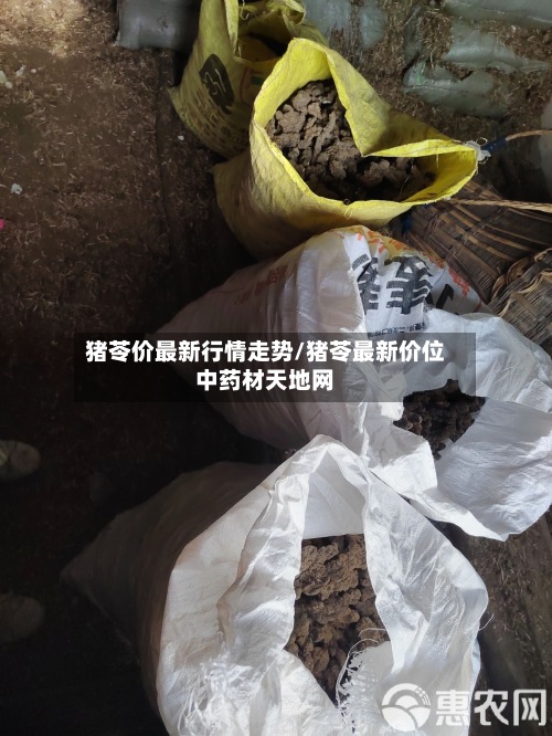 猪苓价最新行情走势/猪苓最新价位中药材天地网