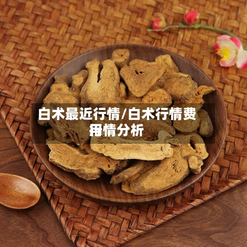 白术最近行情/白术行情费用
行情分析-第2张图片