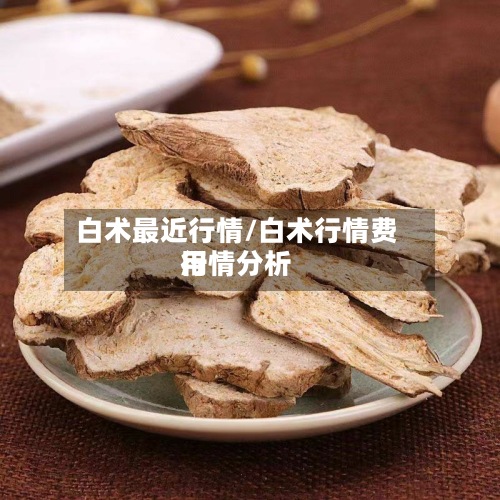 白术最近行情/白术行情费用
行情分析