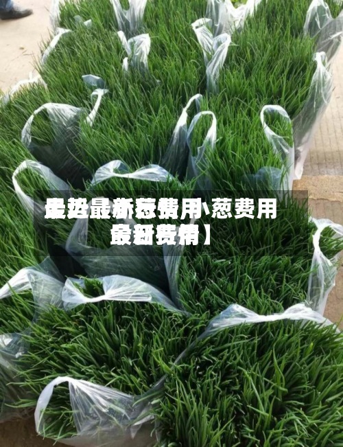 最近【小葱费用
走势最新行情,小葱费用
今日费用
最新行情】-第2张图片