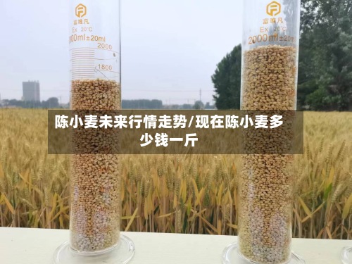 陈小麦未来行情走势/现在陈小麦多少钱一斤-第3张图片