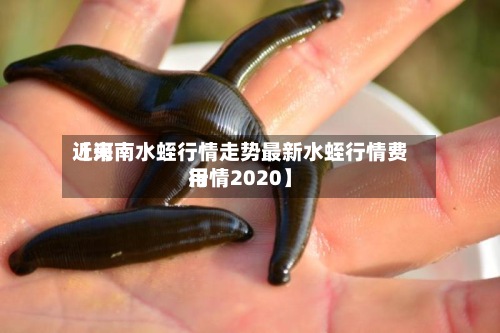 近来
【河南水蛭行情走势最新水蛭行情费用
行情2020】