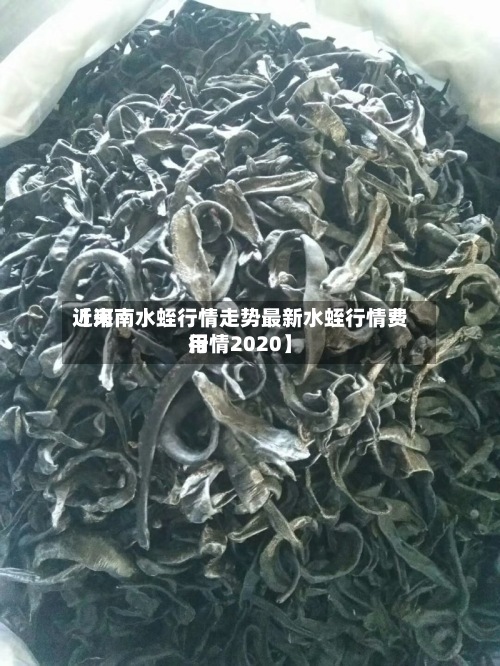 近来
【河南水蛭行情走势最新水蛭行情费用
行情2020】-第2张图片