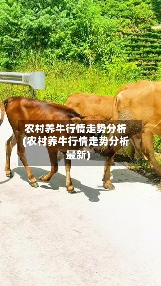 农村养牛行情走势分析(农村养牛行情走势分析最新)