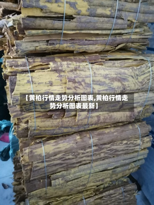 【黄柏行情走势分析图表,黄柏行情走势分析图表最新】-第3张图片