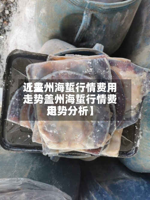 近来【盖州海蜇行情费用走势盖州海蜇行情费用走势分析】-第2张图片