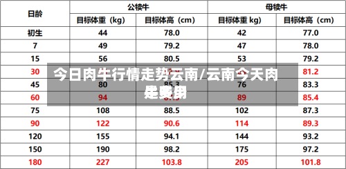 今日肉牛行情走势云南/云南今天肉牛费用
是多少