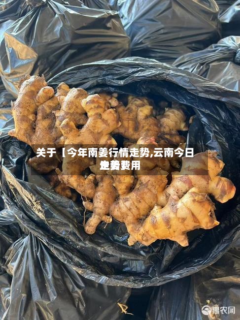 关于【今年南姜行情走势,云南今日生姜费用走势】
