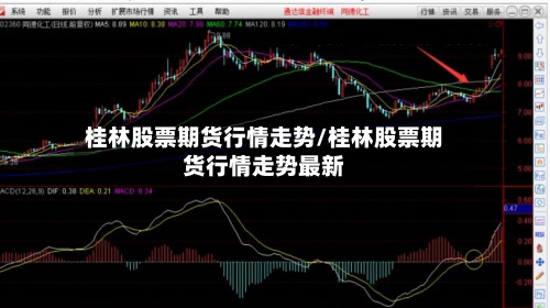 桂林股票期货行情走势/桂林股票期货行情走势最新-第2张图片