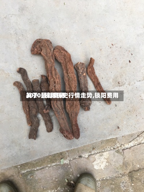关于【锁阳历史行情走势,锁阳费用2020最新费用】