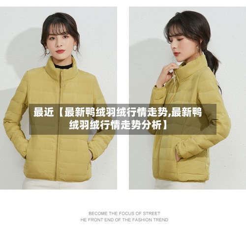 最近【最新鸭绒羽绒行情走势,最新鸭绒羽绒行情走势分析】-第2张图片
