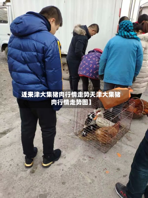 近来【天津大集猪肉行情走势天津大集猪肉行情走势图】-第2张图片