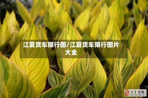 江夏货车限行图/江夏货车限行图片大全-第2张图片