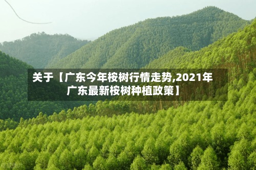 关于【广东今年桉树行情走势,2021年广东最新桉树种植政策】