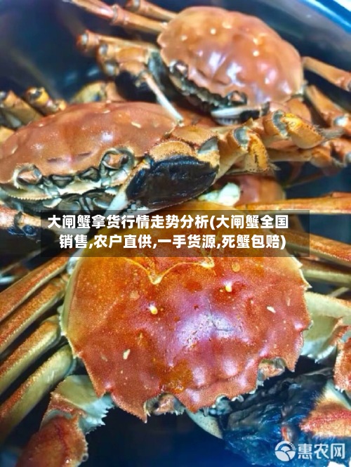 大闸蟹拿货行情走势分析(大闸蟹全国销售,农户直供,一手货源,死蟹包赔)-第3张图片