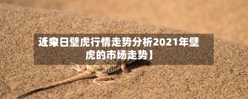 近来【今日壁虎行情走势分析2021年壁虎的市场走势】