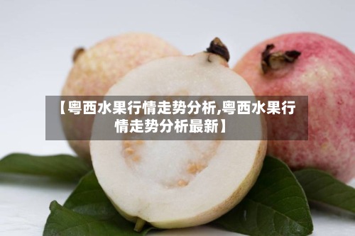 【粤西水果行情走势分析,粤西水果行情走势分析最新】-第2张图片