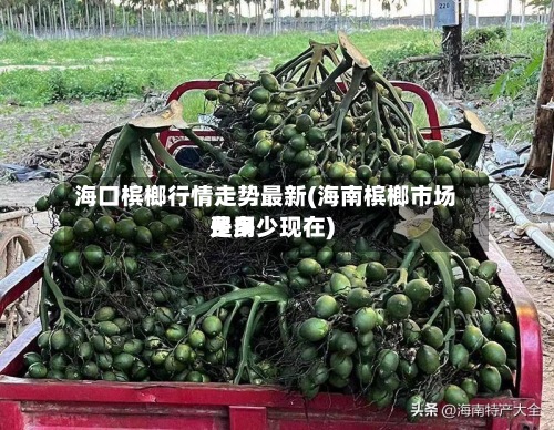 海口槟榔行情走势最新(海南槟榔市场费用
是多少现在)-第2张图片