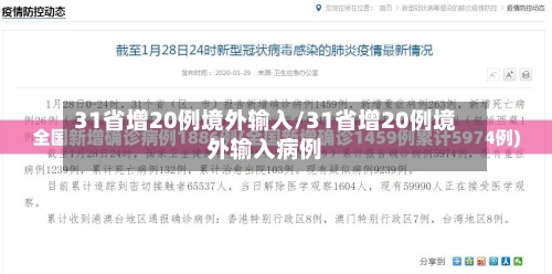 31省增20例境外输入/31省增20例境外输入病例