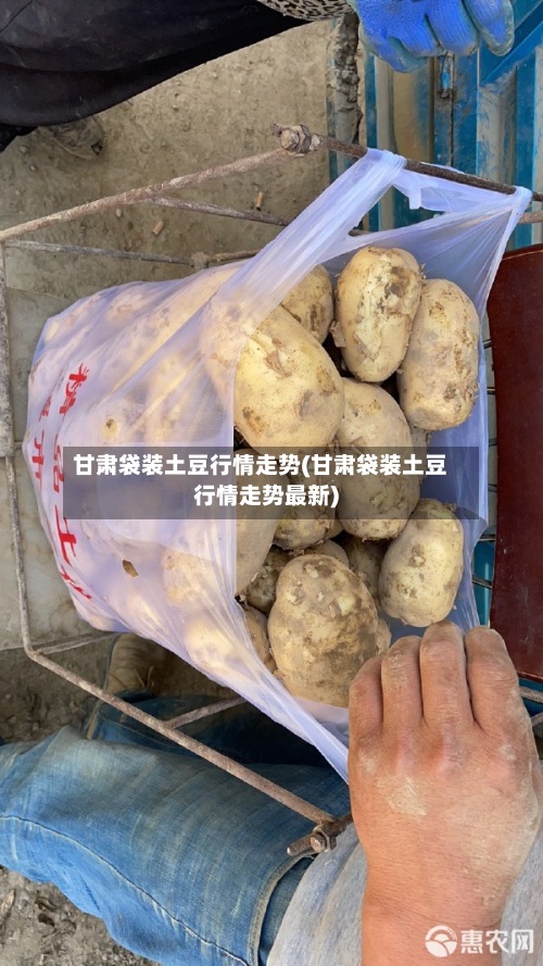 甘肃袋装土豆行情走势(甘肃袋装土豆行情走势最新)