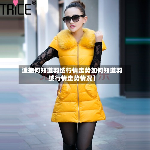 近来
【如何知道羽绒行情走势如何知道羽绒行情走势情况】-第2张图片