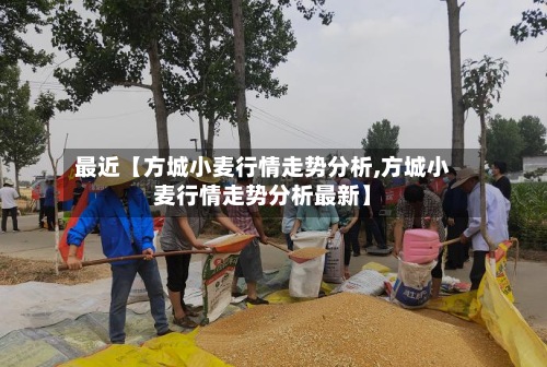 最近【方城小麦行情走势分析,方城小麦行情走势分析最新】-第2张图片