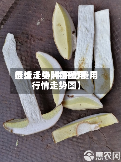 最近【牛肝菌费用行情走势,牛肝菌费用行情走势图】-第3张图片