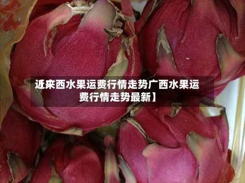 近来
【广西水果运费行情走势广西水果运费行情走势最新】
