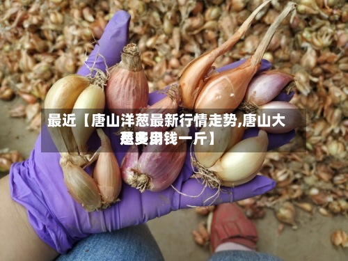 最近【唐山洋葱最新行情走势,唐山大葱费用
是多少钱一斤】-第2张图片