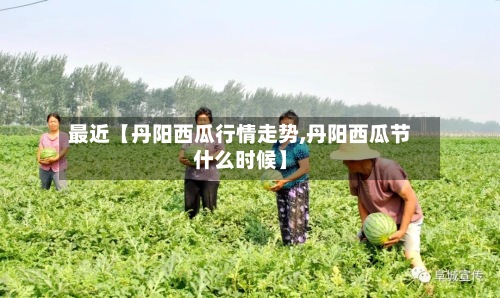最近【丹阳西瓜行情走势,丹阳西瓜节什么时候】