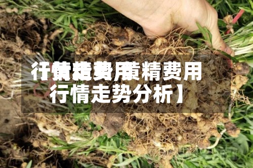 【黄精费用行情走势,黄精费用行情走势分析】-第2张图片