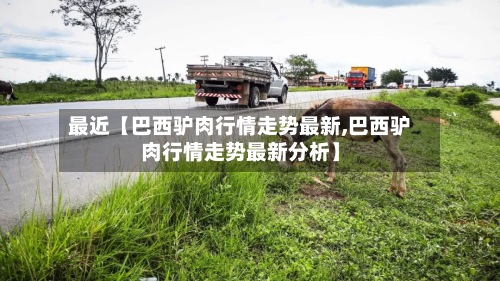 最近【巴西驴肉行情走势最新,巴西驴肉行情走势最新分析】